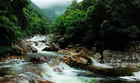 廣西十萬大山|驚呆了，原來十萬大山還有這樣的傳說，你知道嗎